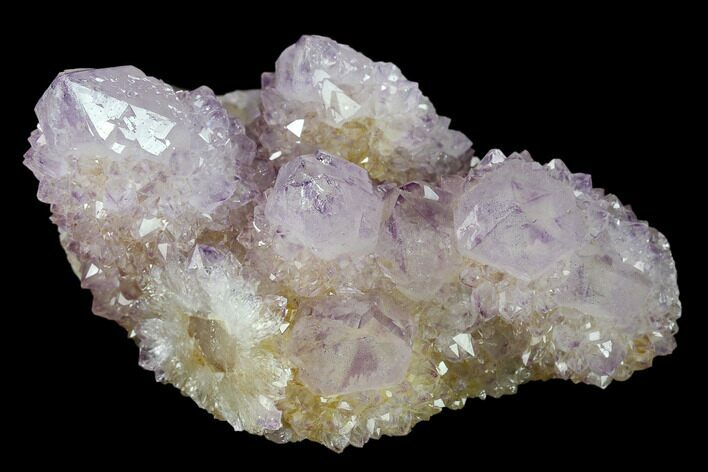 Cactus Quartz (Amethyst) Crystal Cluster - South Africa #134331